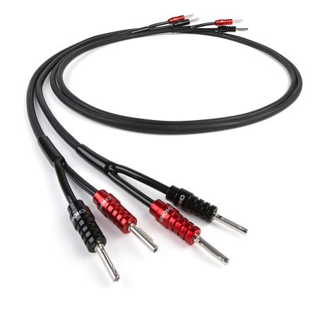 Leyline 2XL 2-Core 12AWG Speaker Cable (Per-Metre) | The Chord Company